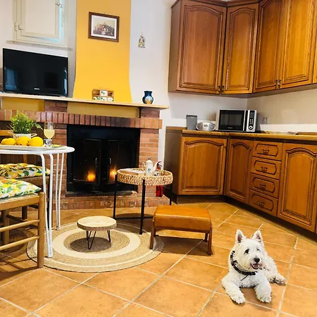 Casa Limone Anna E Clemente Cilento Διαμέρισμα *