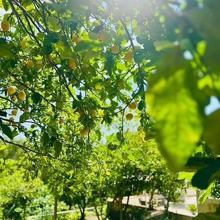 Casa Limone Anna E Clemente Cilento *